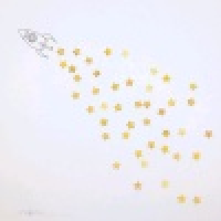 植发星明天是锋的天下