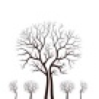 植发星浮生梦魇HGM