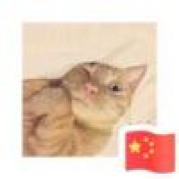 植发星爱撸狗德慷角2