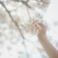 植发星断桅之船裴