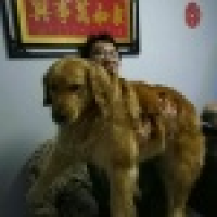 植发星爱我就应相信我