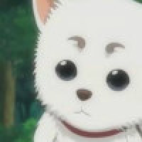 植发星热情的刘广知