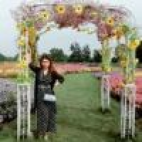 植发星小木今天感冒了