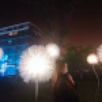 植发星淡紫色的愁绪