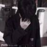 植发星棕油菊花108