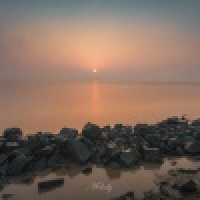 植发星活跃的bx