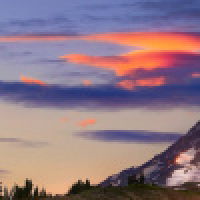 植发星小夜很拉风