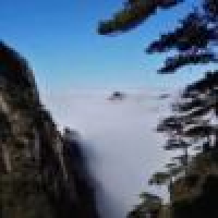 植发星爱上关我