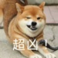 植发星泽速浪005416