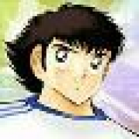 植发星灰灰世界