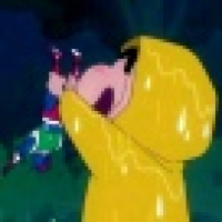 植发星清清800bOu