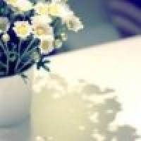 植发星小颜JQrc7