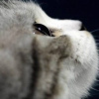 植发星我要一个亿life