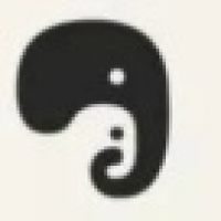 植发星橙mgivy315