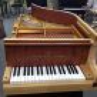 植发星七十一班的回忆