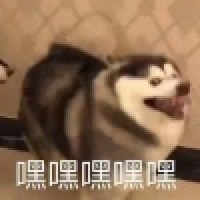 植发星某M不是统称么