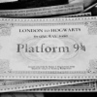 植发星柚只只65