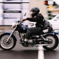 植发星毛豆毛豆毛豆nc