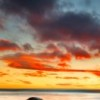 植发星水瓶嘟嘟小孩