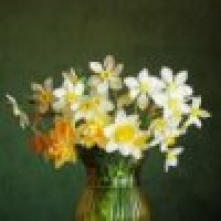 植发星揭发艾克