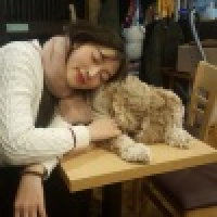 植发星状元楼上无状元