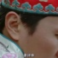 植发星爱刷jiWF23F