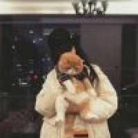 植发星监控_數嗿