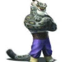 植发星炫动之狮