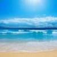 植发星商量商量yj