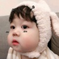  超我本我自我自由飞