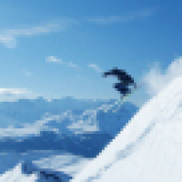 植发星橙cqerp3517