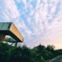 植发星弟兄们追YA