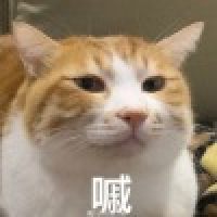 植发星泰国友人2272