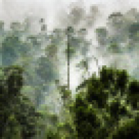 植发星瞬间HeartAtt