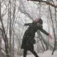 植发星登哥35871