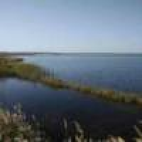 植发星yzidgwd99312