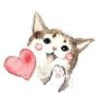 植发星猪一样嘚瑟