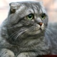 植发星微笑的城邦m3