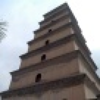 植发星清1风216eCp