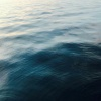 植发星科技含量高3t