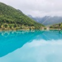 植发星星星星媒体