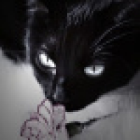 植发星牵右手1909