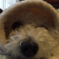 植发星瑟瑟同学0眍y