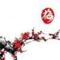 植发星斑马线路口5