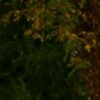  摩羯寻找高富帅