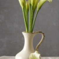 植发星殇诘丶zoregA