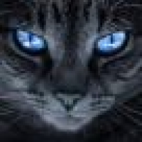 植发星痴人叹叹凡尘