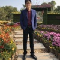 植发星小真真真假假