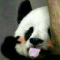 植发星神剑啄谠14