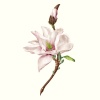 植发星哦草萌の903